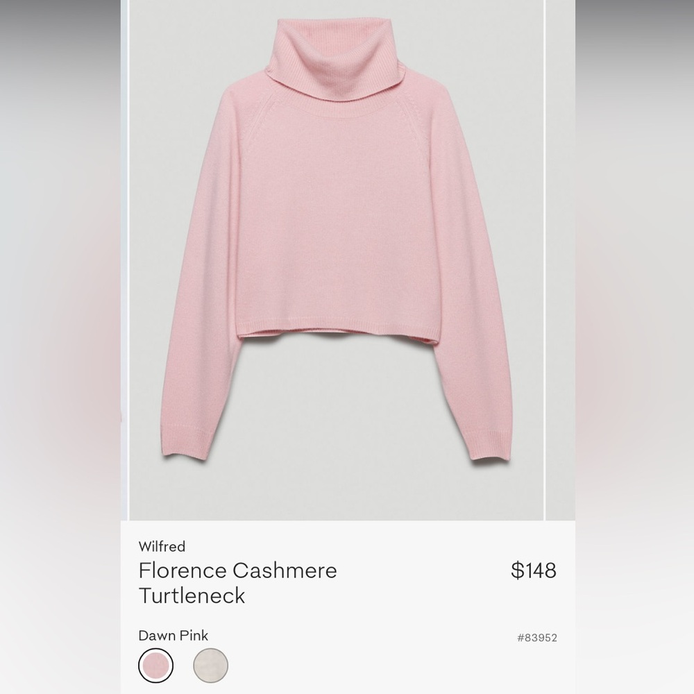 Aritzia Wilfred Florence Cashmere Turtleneck